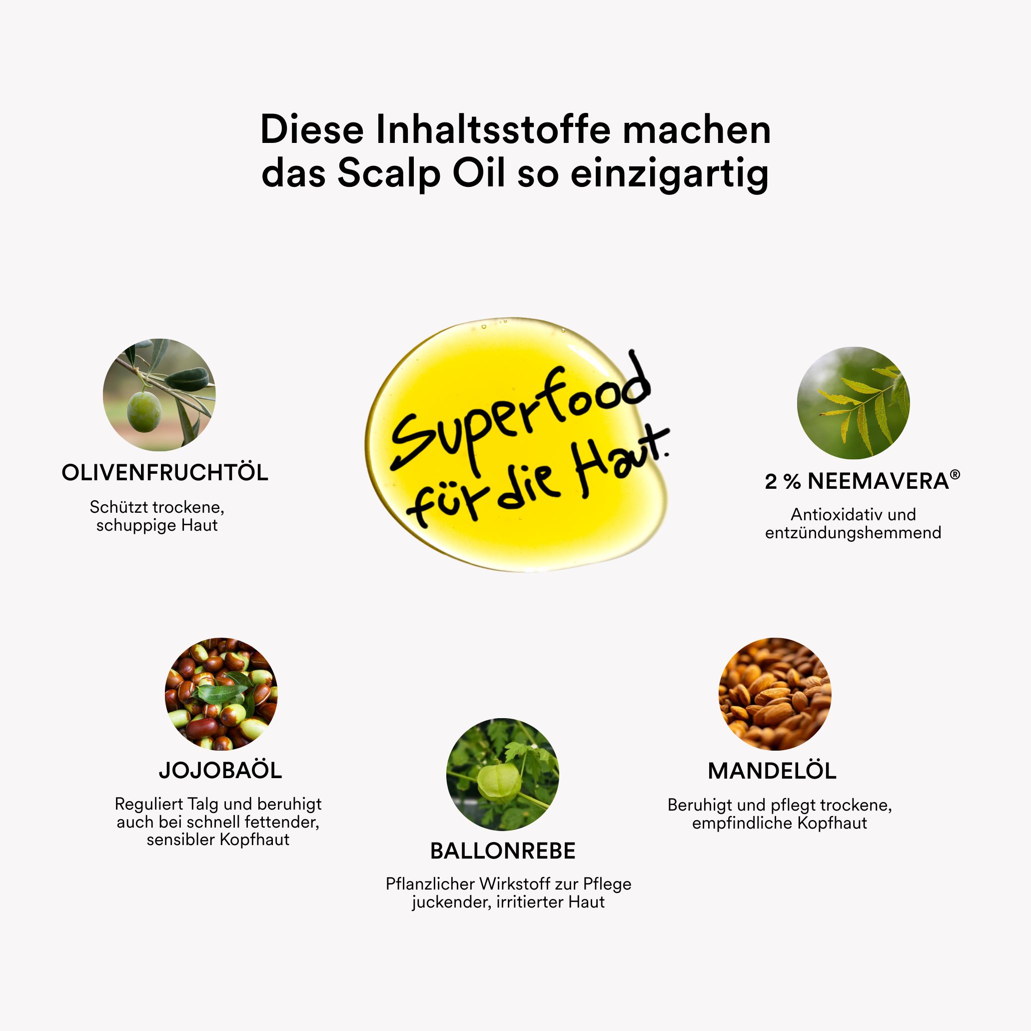 Grafik mit Inhaltsstoffen: Olivenfruchtöl, Jojobaöl, Ballonrebe, Mandelöl, 2% Neemaveera.