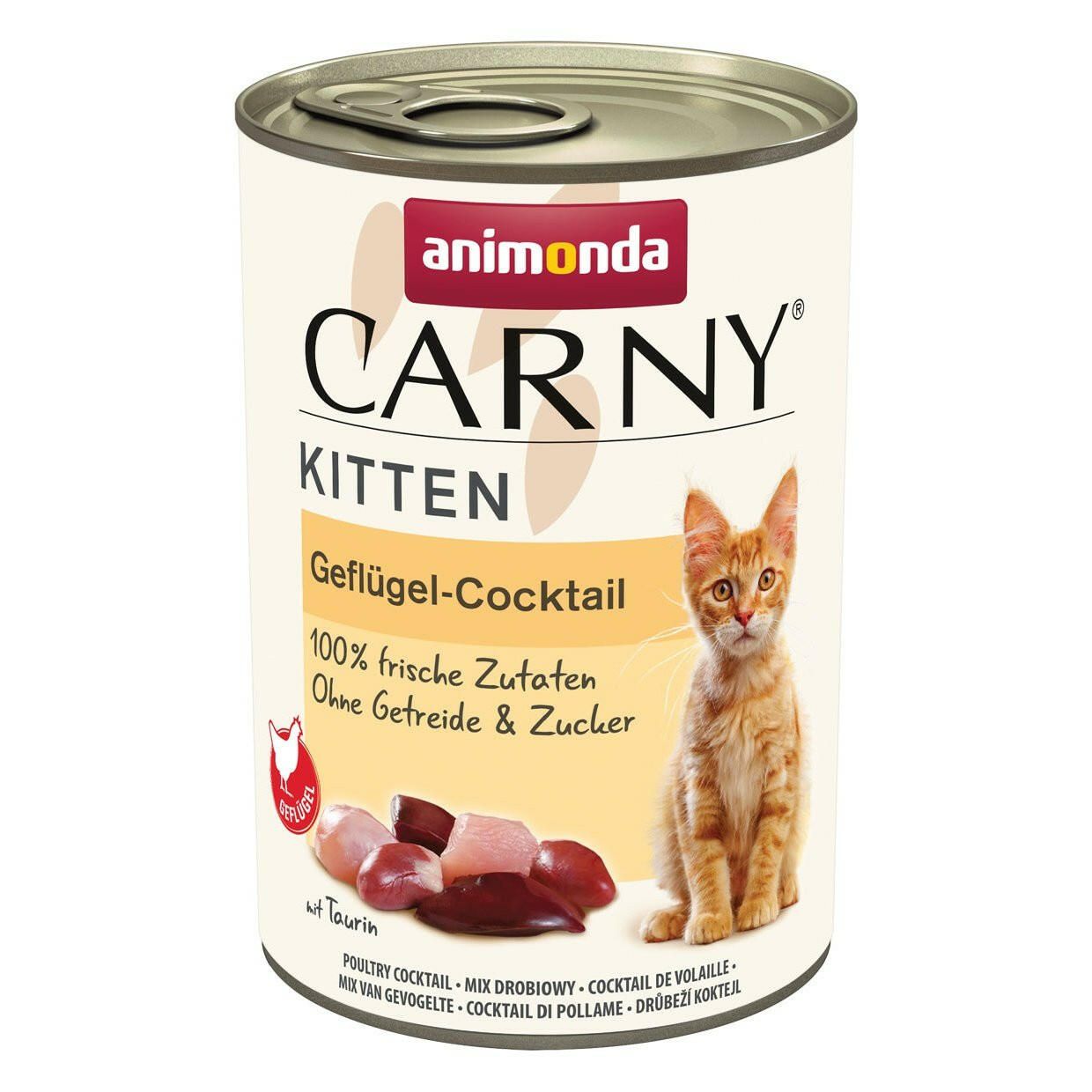 Carny Kitten 2,4 kg
