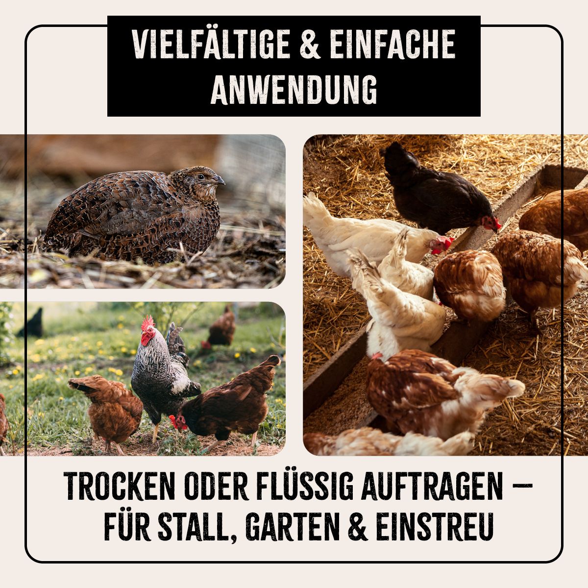 AniForte Kieselgur Pulver (ehem. Milben-STOP Puder) inkl. Stäuberflasche
