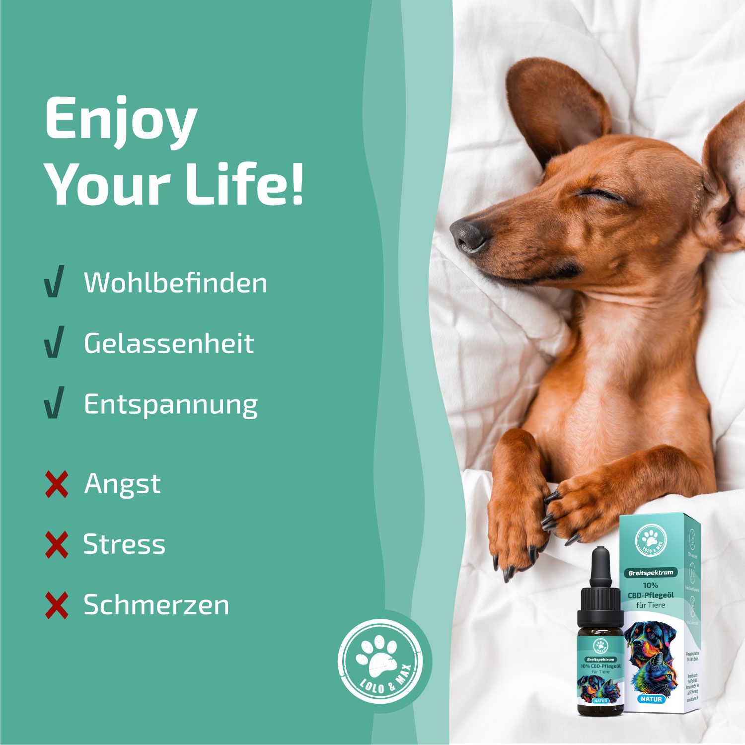 Dackel liegt entspannt unter einer Decke. Daneben Flasche und Verpackung von Lolo & Max 10% CBD-Pflegeöl für Tiere. Text: Wohlbefinden, Gelassenheit, Entspannung.