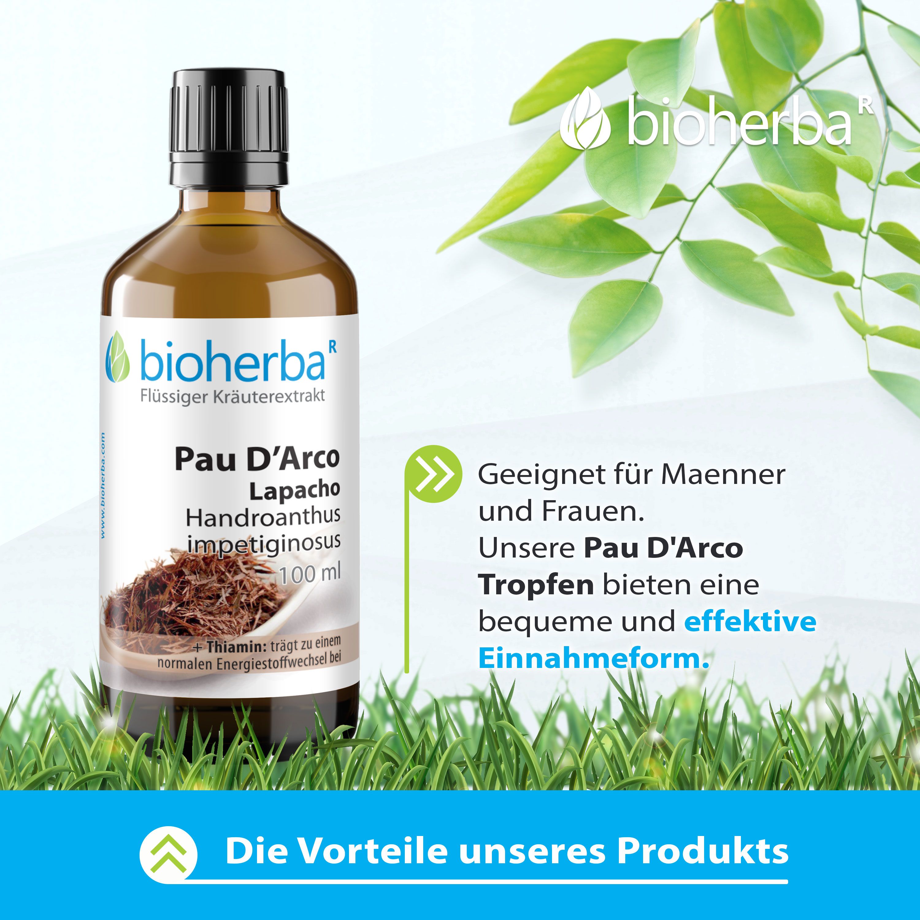 Bioherba Pau D'Arco Lapacho Tropfen Tinktur