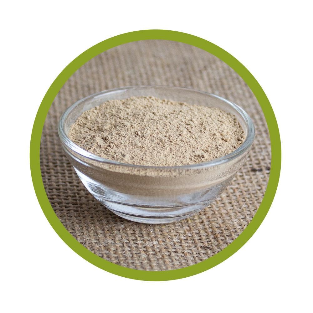 Glaschale mit vitalundfitmit100® Bio Agaricus Pulver auf beigem Untergrund. Pulver ist hellbraun.