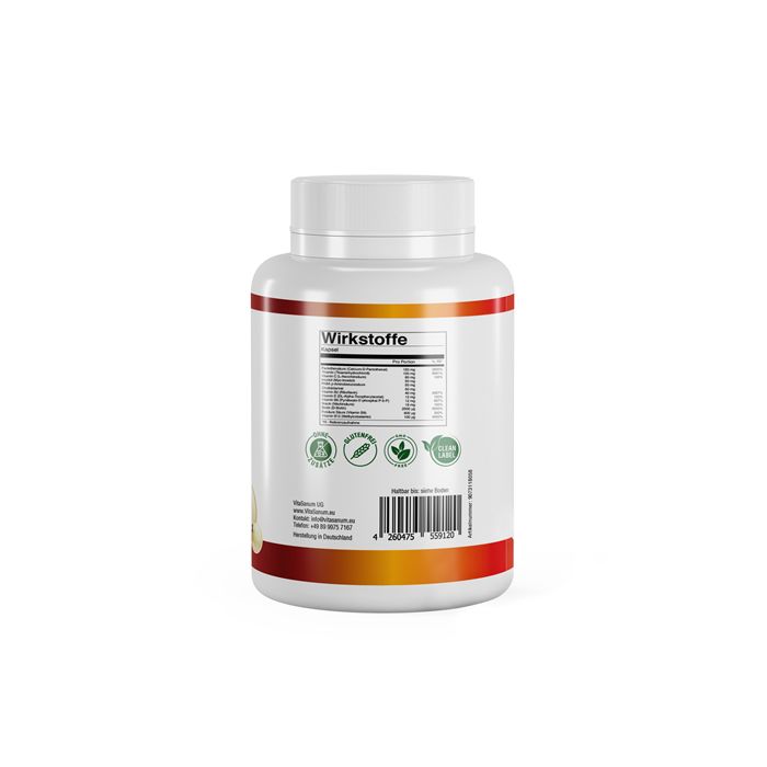 VitaSanum®- Methyl B-Komplex 60 St Kapseln