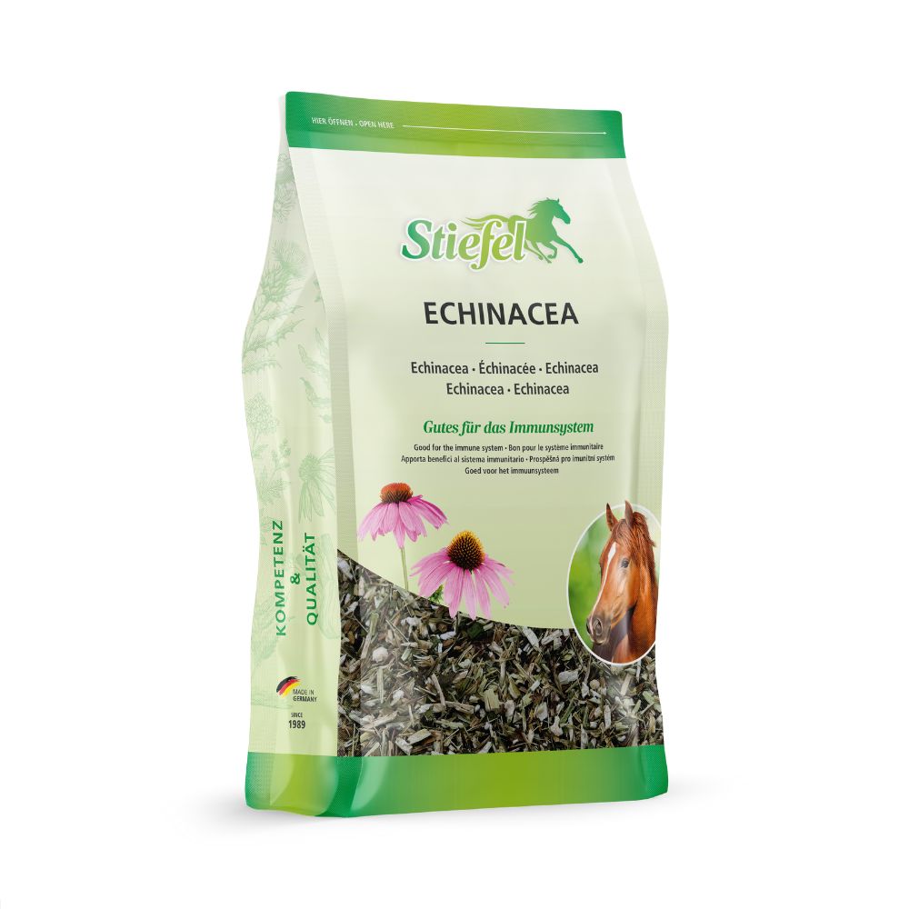 Verpackung von Stiefel Echinacea. Grün-weiße Tüte mit Produktnamen, Illustrationen von Echinacea-Blüten und einem Pferdekopf.