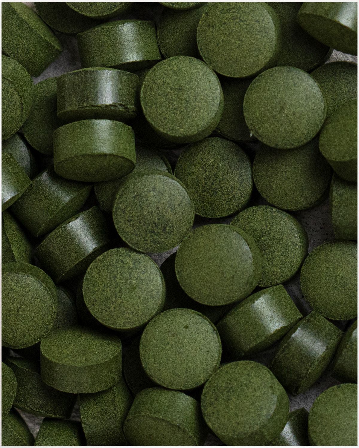 Nahaufnahme von grünen Chlorella Tabs. Runde Form, flache Oberfläche.