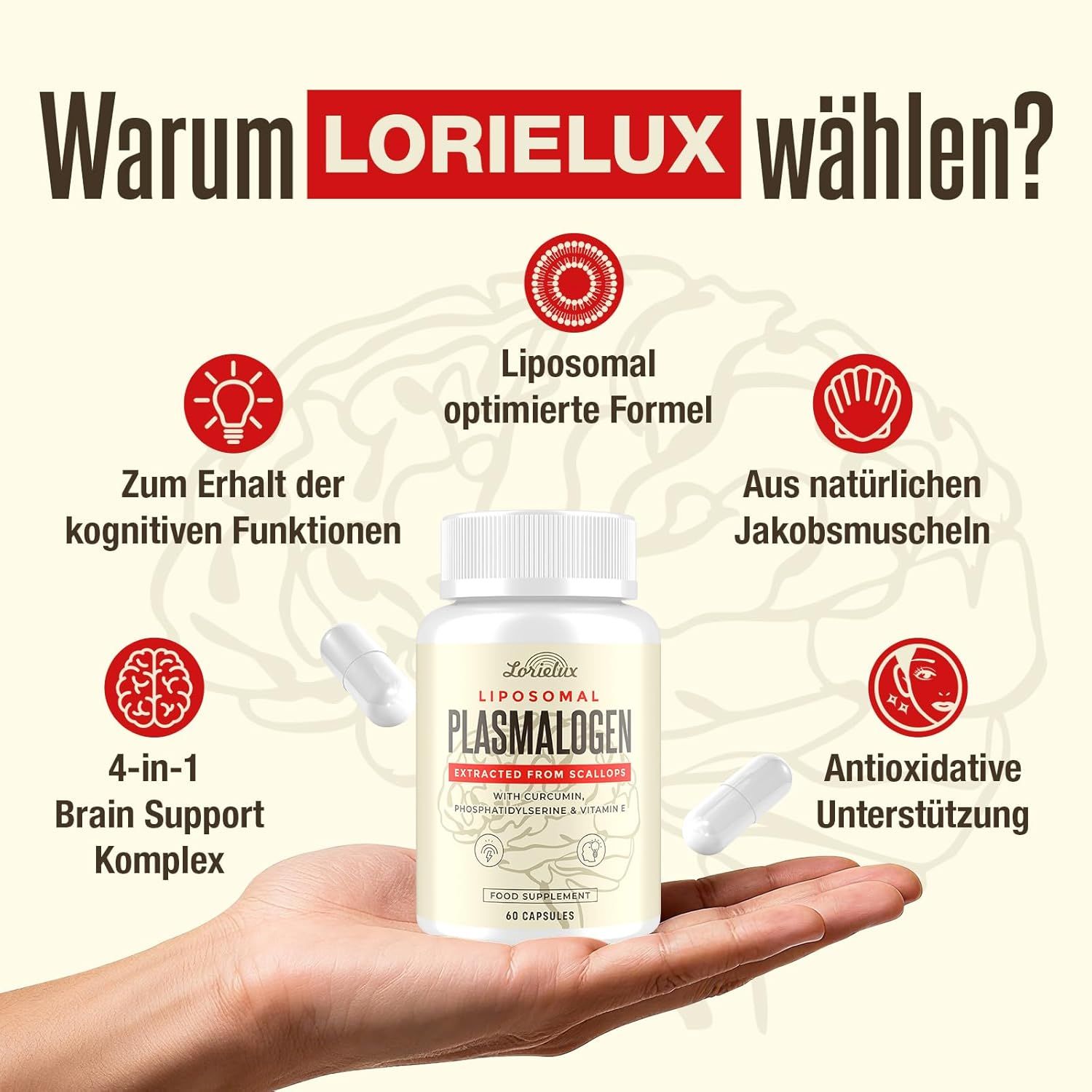 Lorielux Liposomal Plasmalogen Nootropic Kapseln