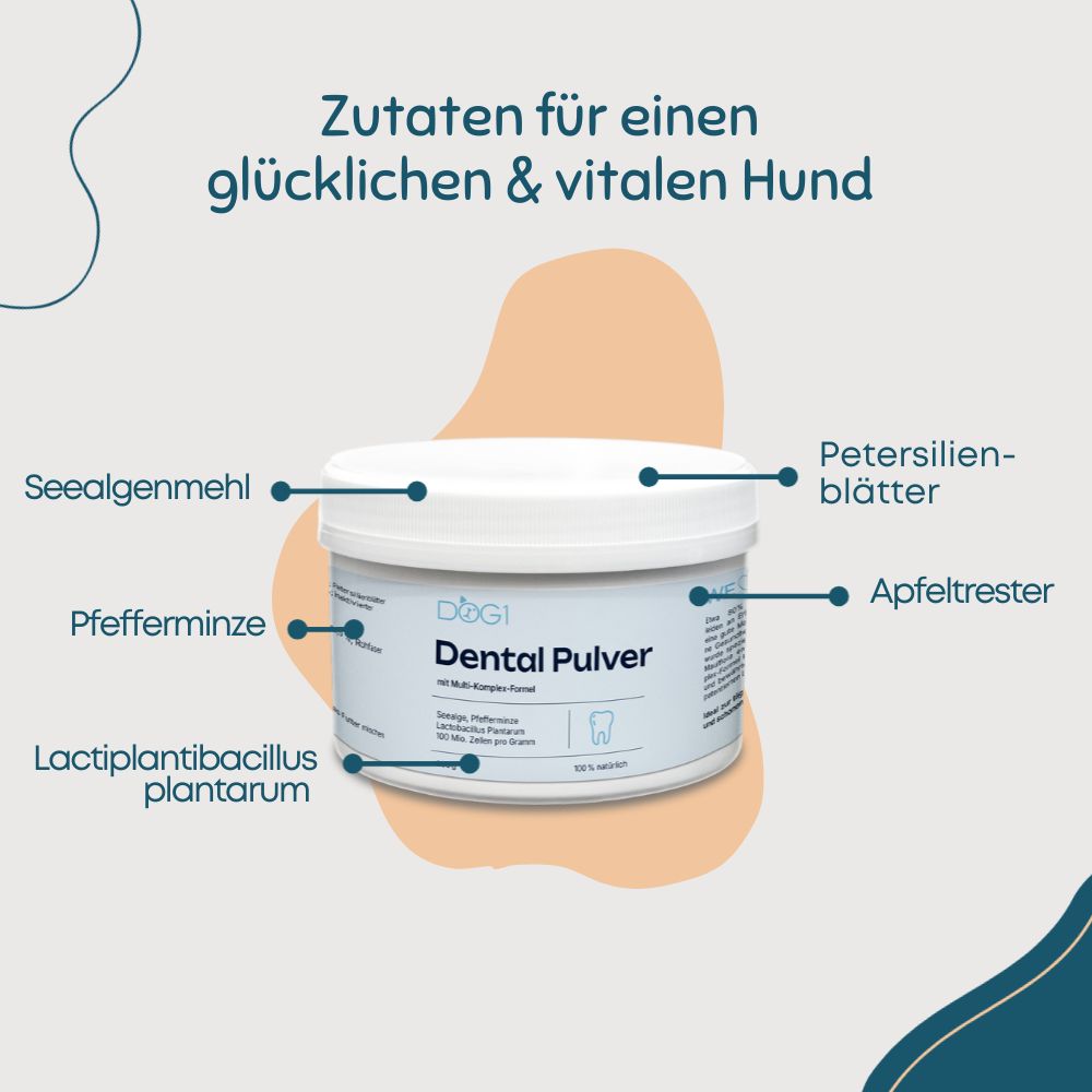 Weißer Behälter mit blauem Etikett, 'DOG1 Dental Pulver'. Zutaten: Seealgenmehl, Pfefferminze, Lactiplantibacillus plantarum, Petersilienblätter, Apfeltrester.