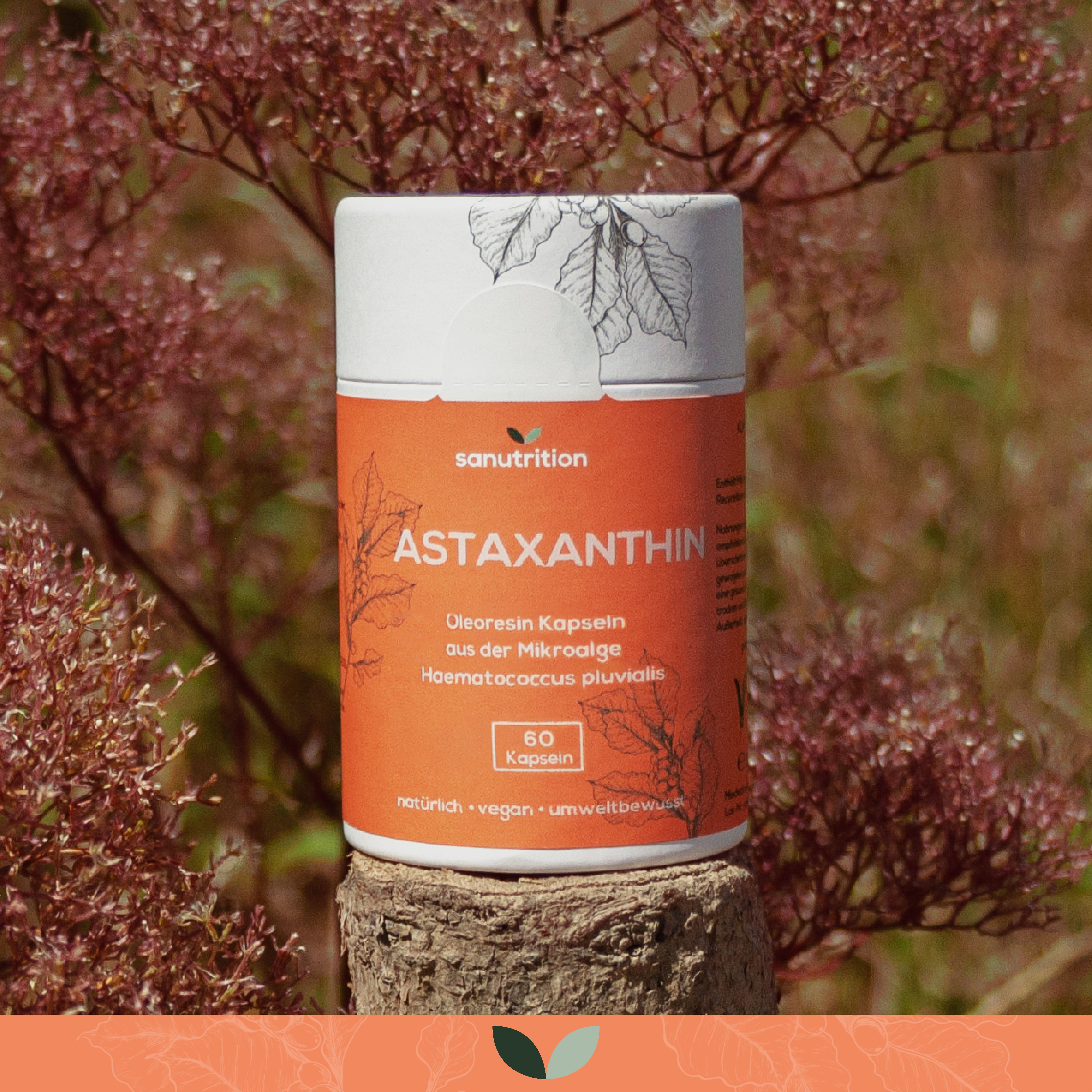 Zylindrische Dose mit Astaxanthin-Kapseln, auf einem Baumstumpf platziert. Orangefarbener Aufkleber mit Produktinformationen und 60 Kapseln.