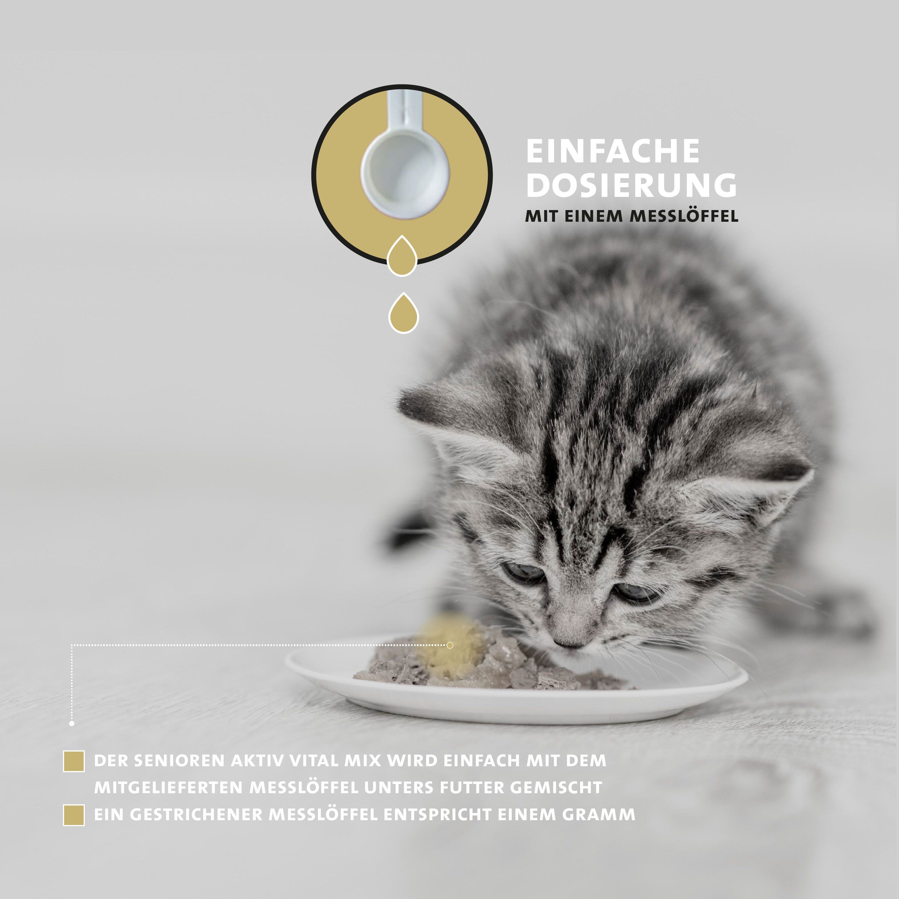 Katze isst Futter von einem Teller. Text: Einfache Dosierung mit einem Messlöffel. Messlöffel.