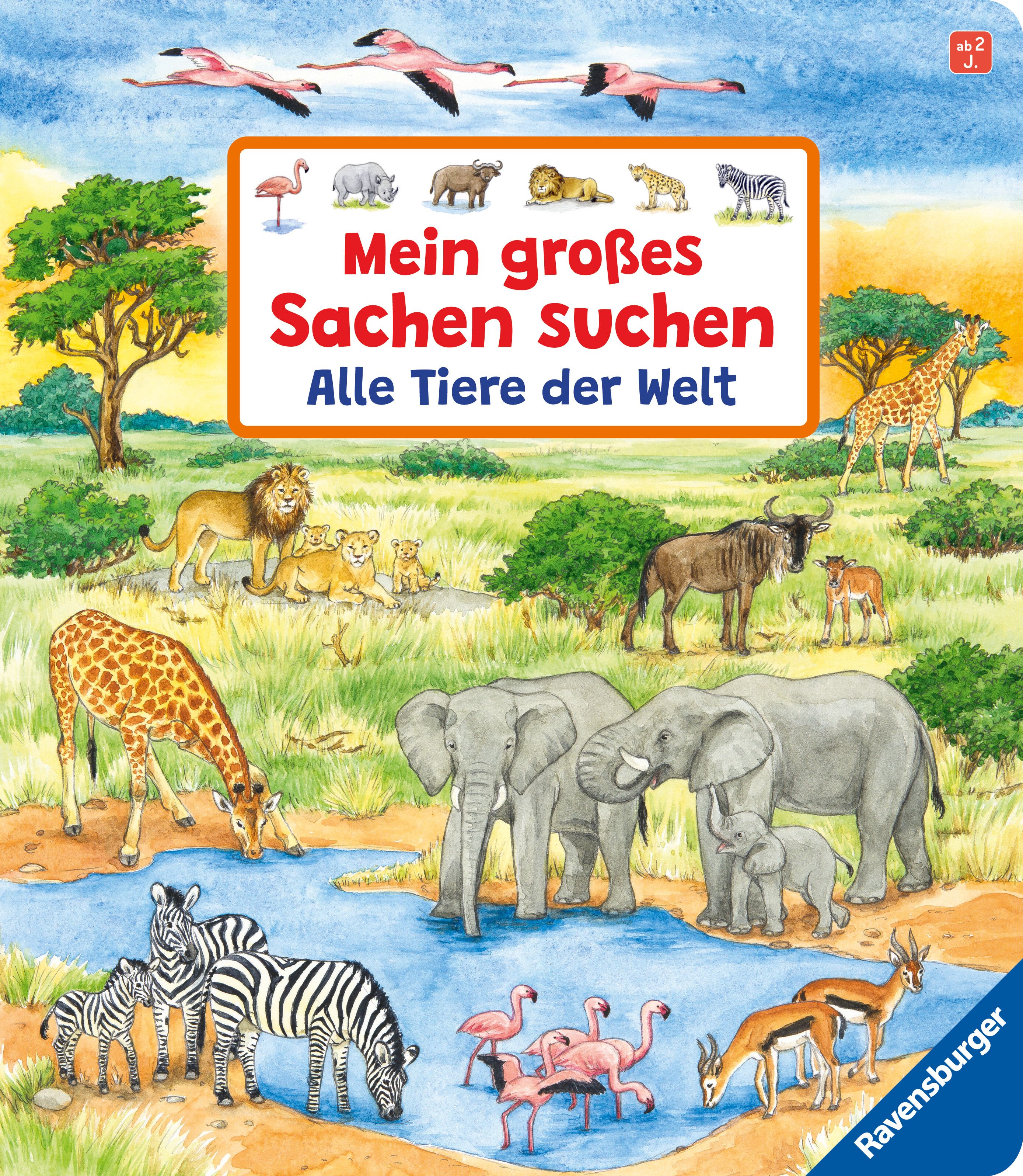 Mein großes Sachen suchen: Alle Tiere der Welt