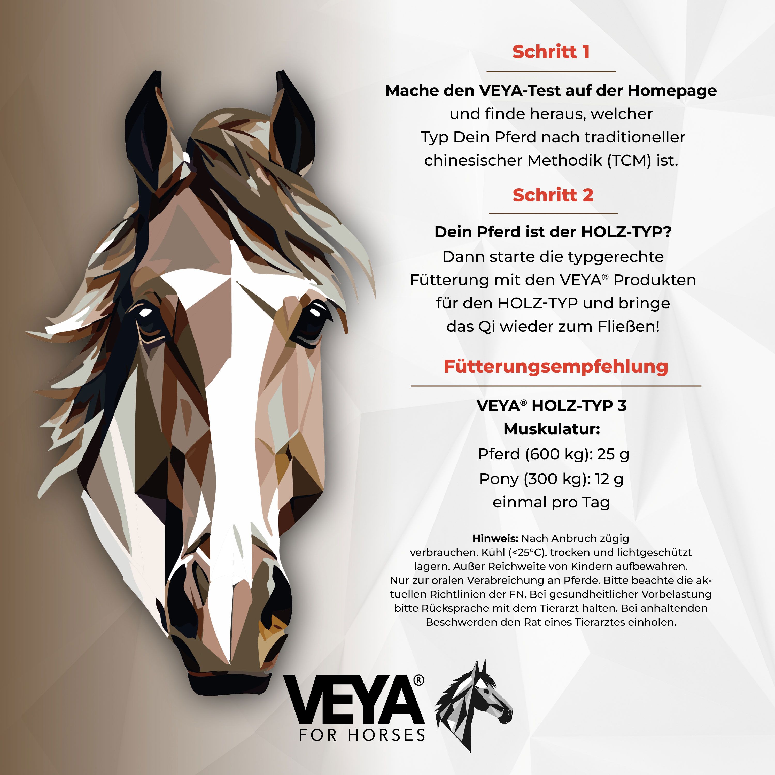VEYA HOLZ-TYP 3 Muskulatur