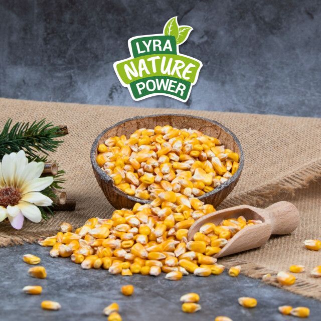 Maiskörner in einer Schale und auf einem Tisch. Logo: Lyra Nature Power. Zubehör: Holzschaufel.