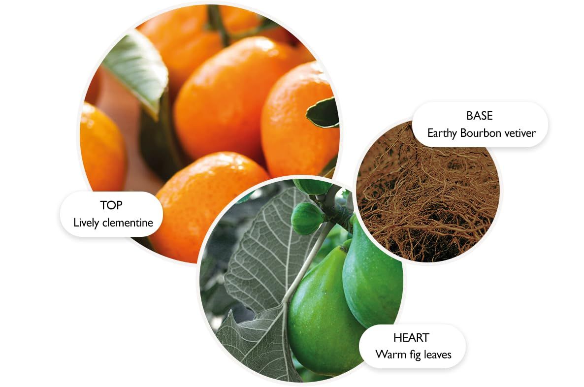 Molton Brown, Sunlit Clementine & Vetiver Bade & Duschgel