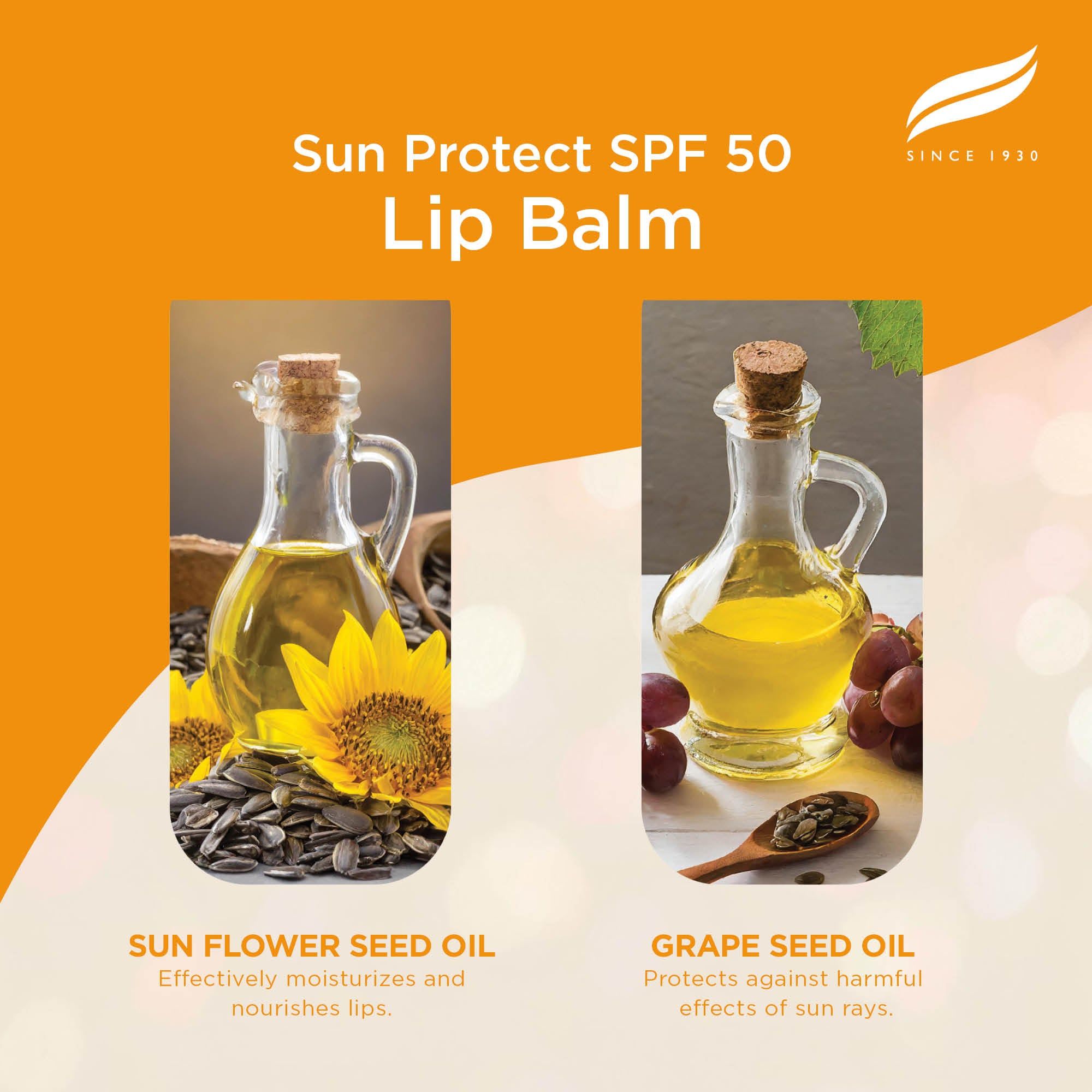 Sonnenblumenkernöl und Traubenkernöl in Gläsern, Teil des Himalaya Sun Protect Lippenbalsams.