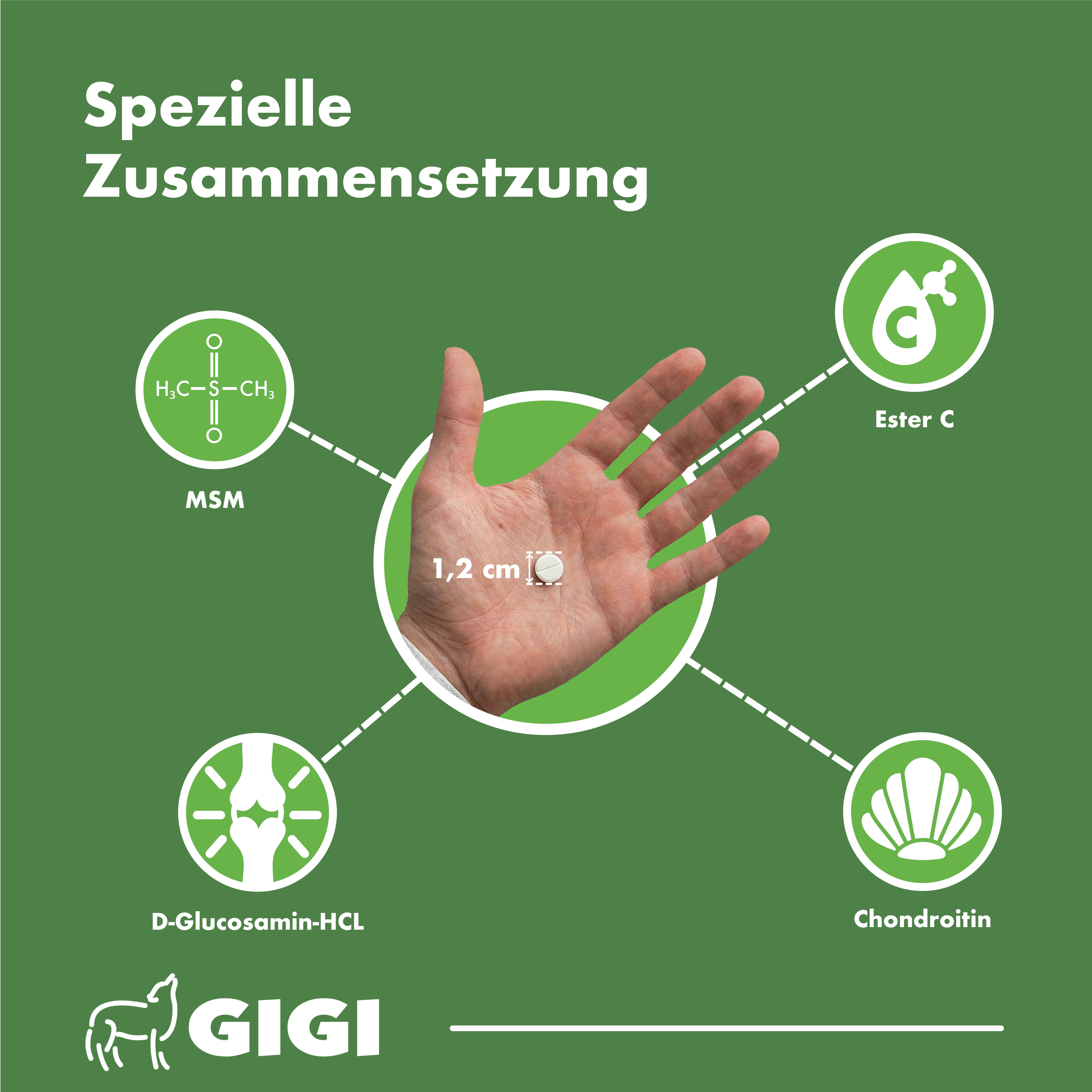 Hand mit Tablette, umgeben von Inhaltsstoffen. Text: Spezielle Zusammensetzung. Inhaltsstoffe: MSM, Ester C, D-Glucosamin-HCL, Chondroitin.