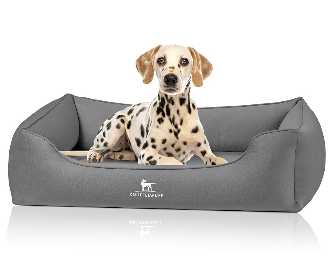 Graues Hundebett mit erhöhtem Rand. Ein Dalmatiner liegt im Bett. Logo: Knuffelwuff.
