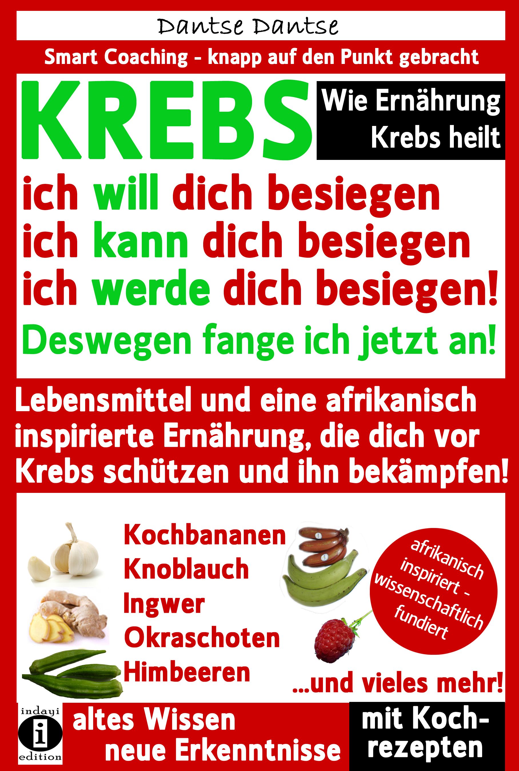 Buchcover mit Titel: KREBS – ich will dich besiegen. Text und Illustrationen von Gemüse und Früchten. Verlag: Dantse Dantse.
