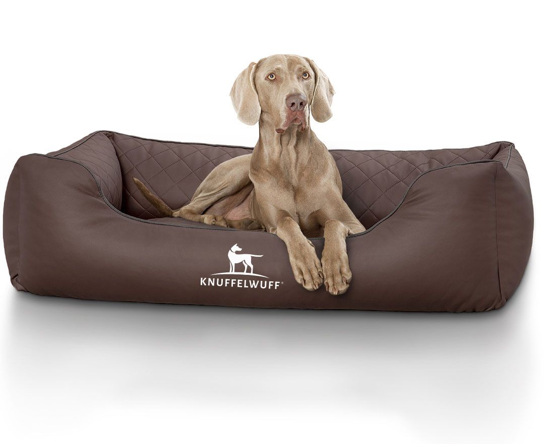 Braunes orthopädisches Hundebett mit Hund. Das Bett hat eine gesteppte Oberfläche und das Logo "Knuffelwuff". Der Hund liegt im Bett.
