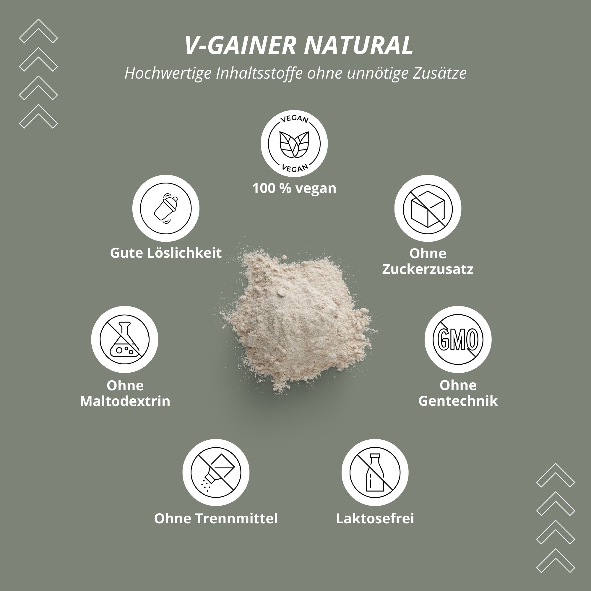 Kreisförmige Anordnung von Icons und Text. "V-GAINER NATURAL". 100% vegan, ohne Zuckerzusatz, ohne Gentechnik, ohne Trennmittel, laktosefrei.