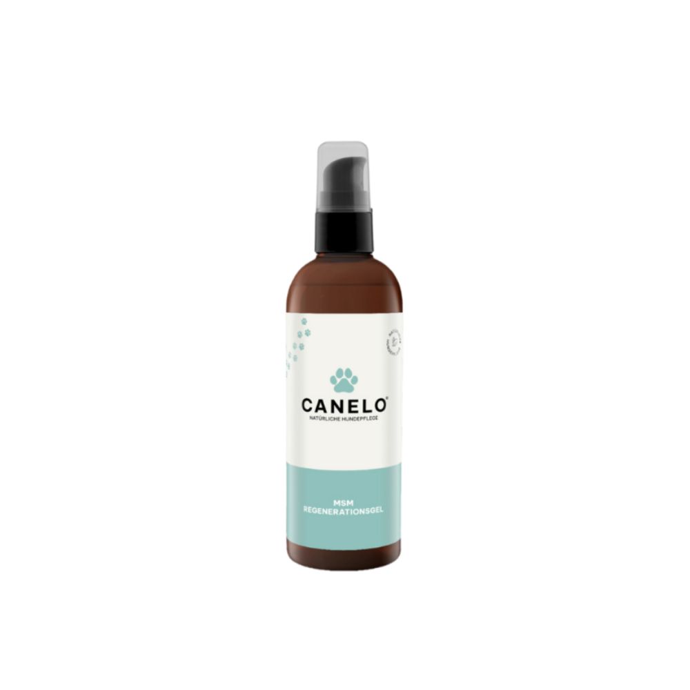 Braune Flasche mit Sprühkopf. Aufschrift CANELO und MSM Regenerationsgel. Türkis-weiße Etikettierung.