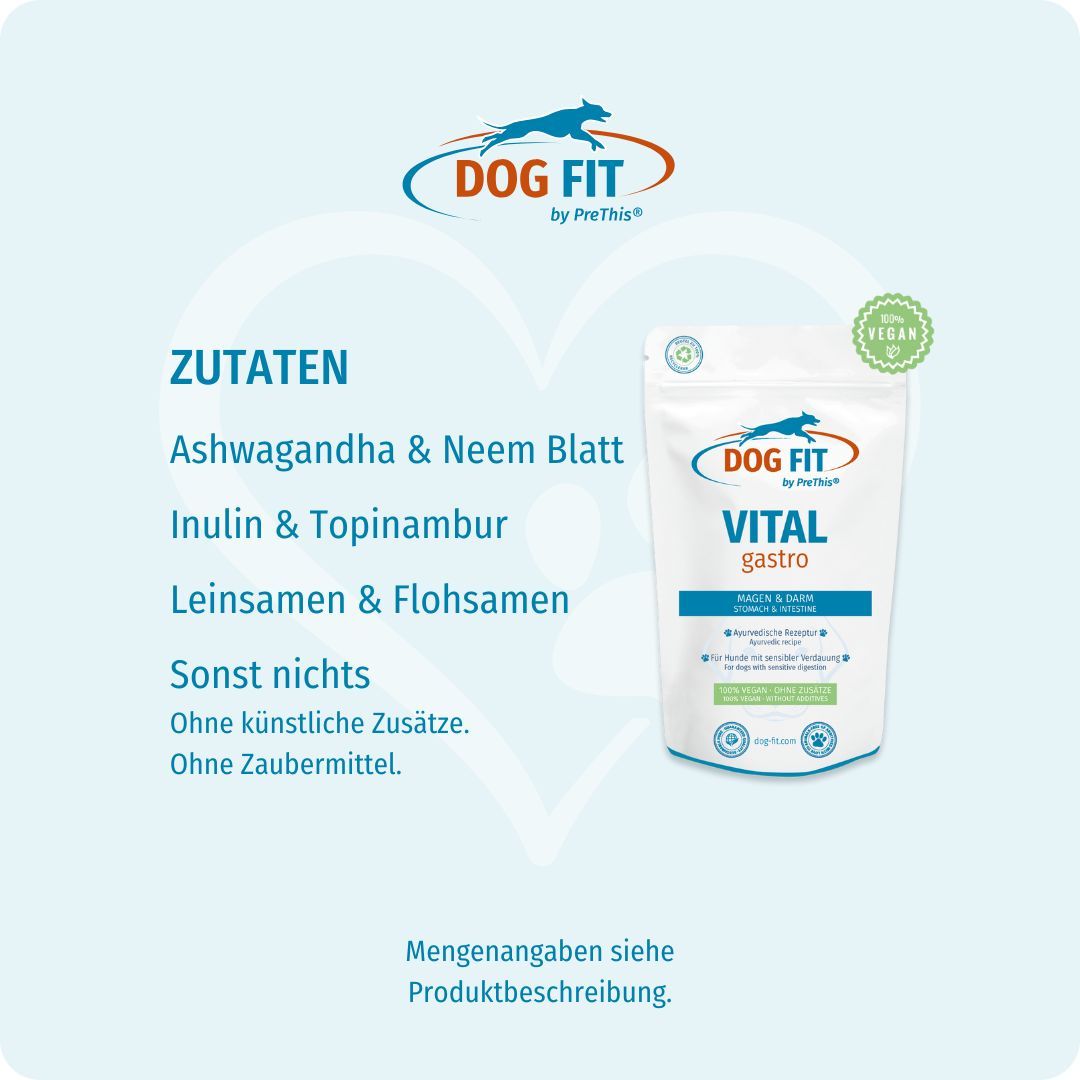 Produkt DOG FIT VITAL gastro in Verpackung. Zutaten: Ashwagandha & Neem Blatt, Inulin & Topinambur, Leinsamen & Flohsamen.