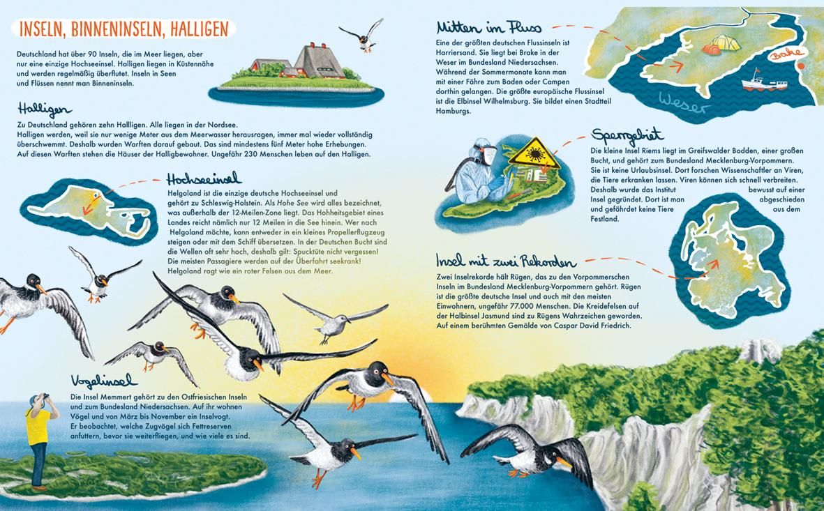 Buchseite mit Text und Illustrationen. Themen: Halligen, Inseln, Vögel, Wattenmeer, Karte von Deutschland.