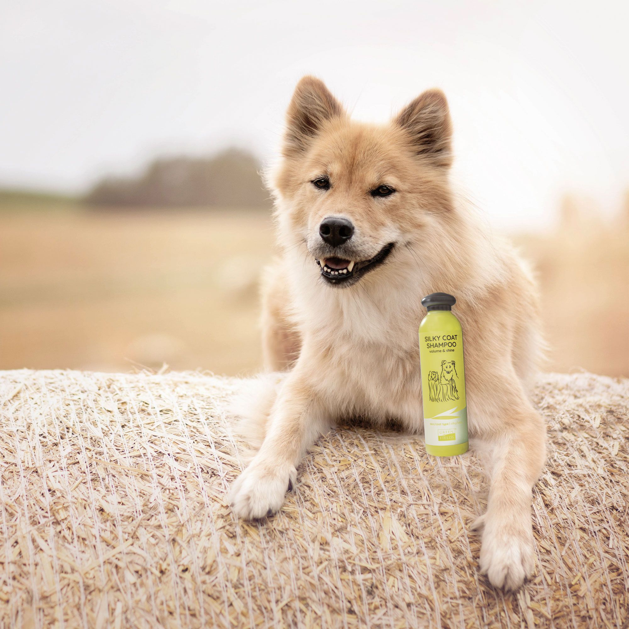 Greenfields Hundeshampoo für weißes Fell