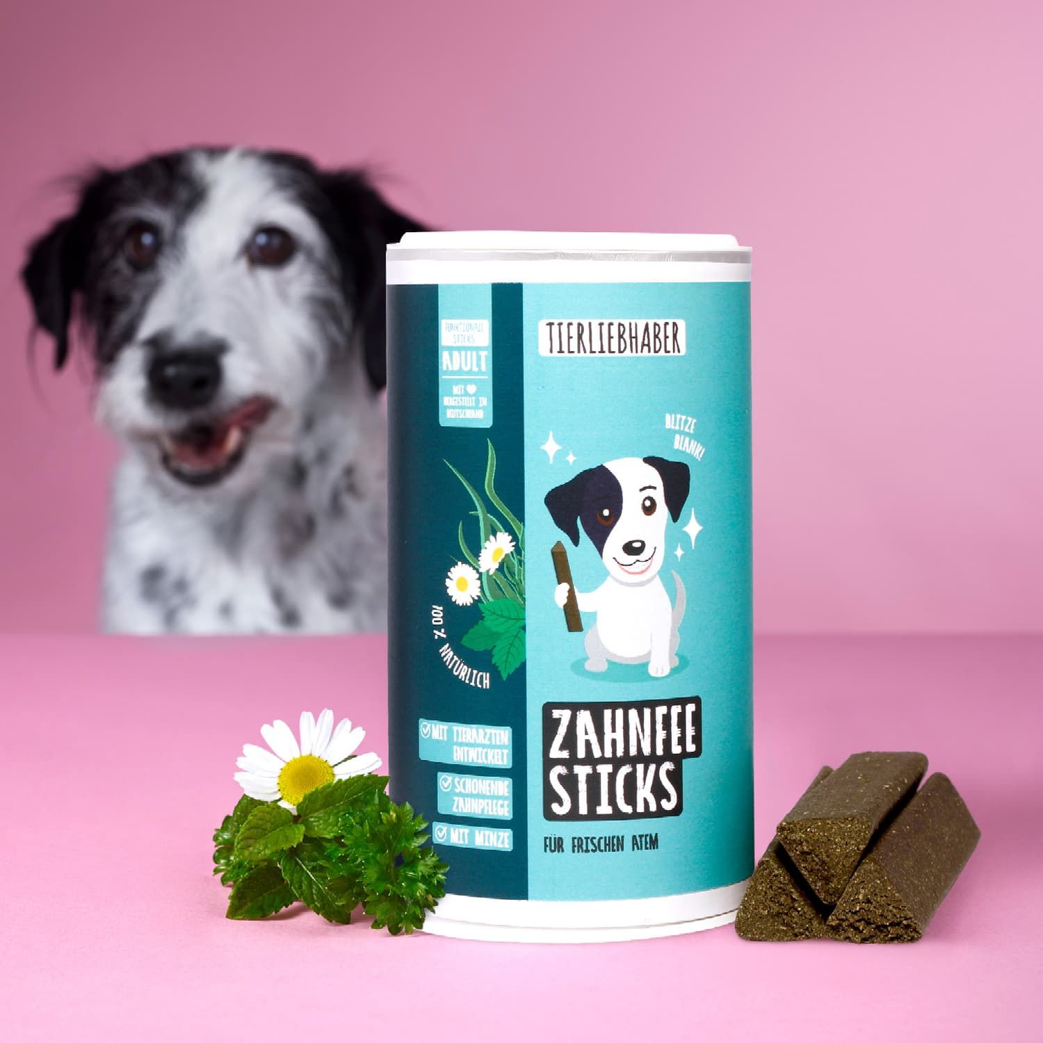 Zahnfee Sticks-Dose und Sticks neben Hund, Kamille und Minze. Dose mit Produktname und Hund-Illustration.