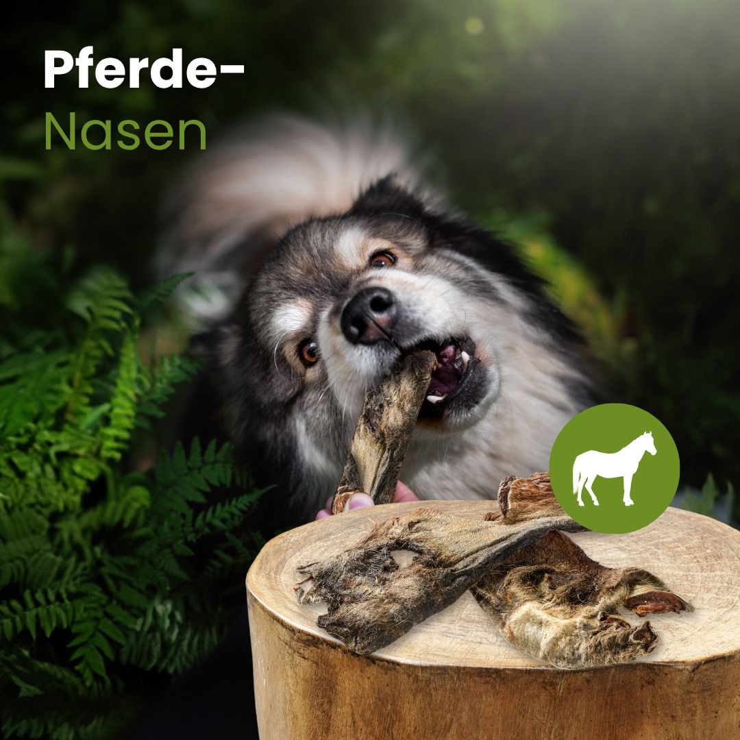 Getrocknete Pferde-Nasen für Hunde, 15-30 cm lang.