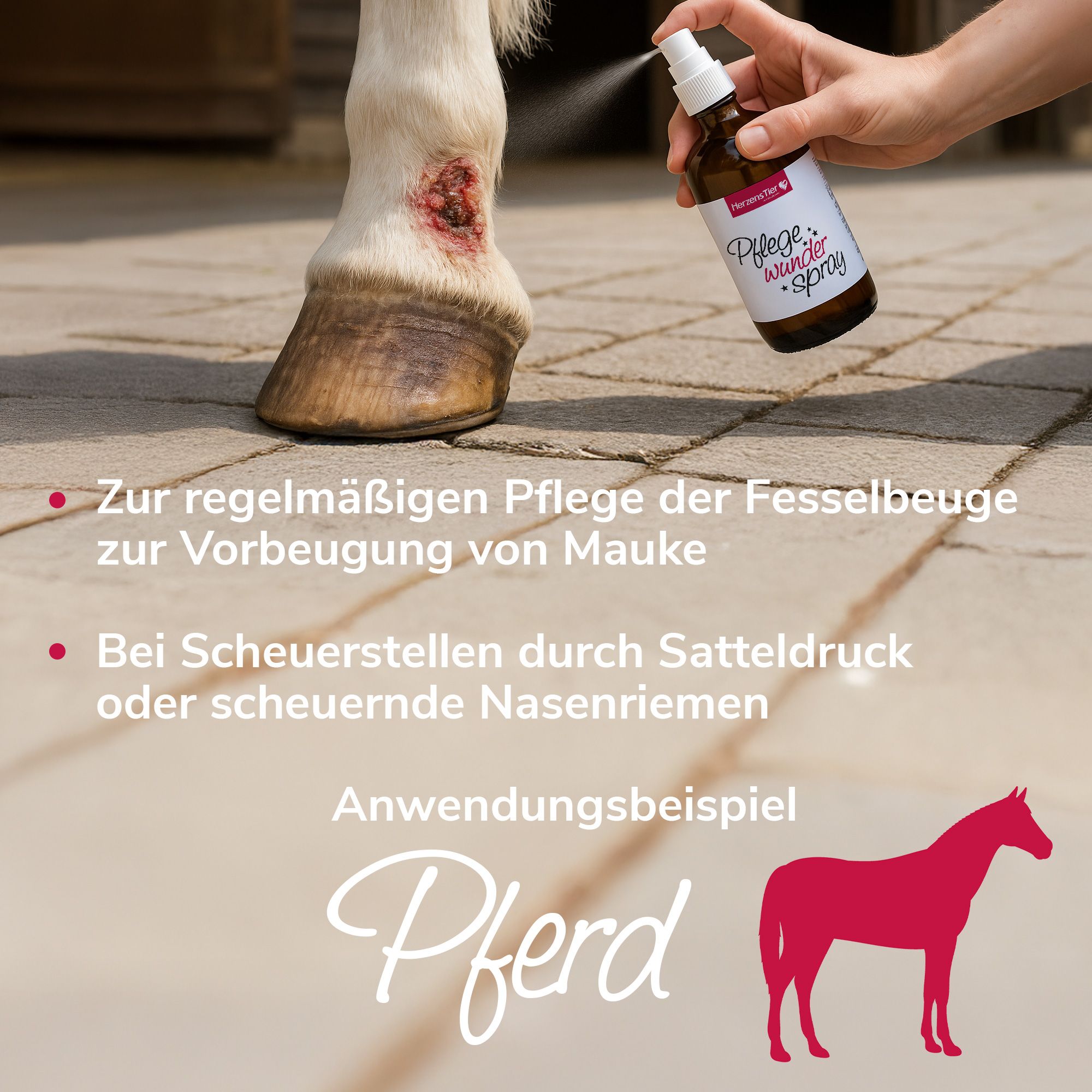 Pferd mit Beinwunde. Hand sprüht auf Bein. Text: Anwendungsbeispiel Pferd. Rote Punkte mit Text.