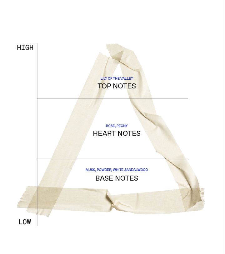 Dreieck mit Text. Top Notes, Heart Notes, Base Notes. Noten: Lily of the Valley, Rose, Musk, etc.