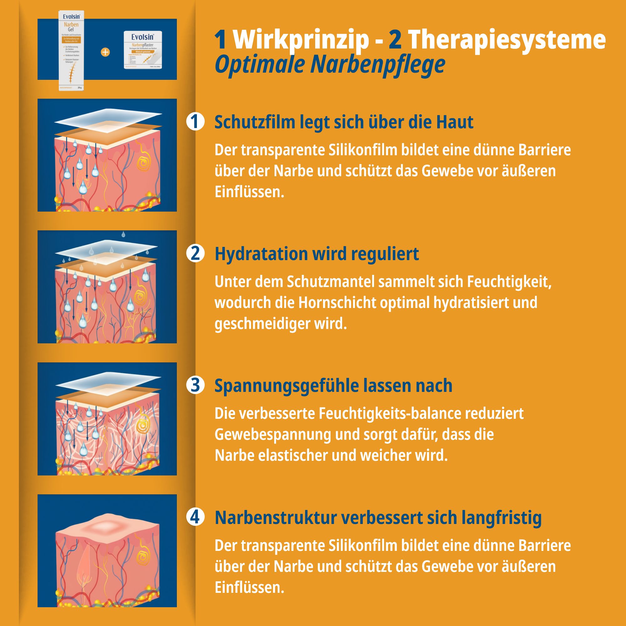 Evolsin® Narben Intensiv-Kur: Narbengel + Narbenpflaster - Reduziert die Sichtbarkeit von Narben und