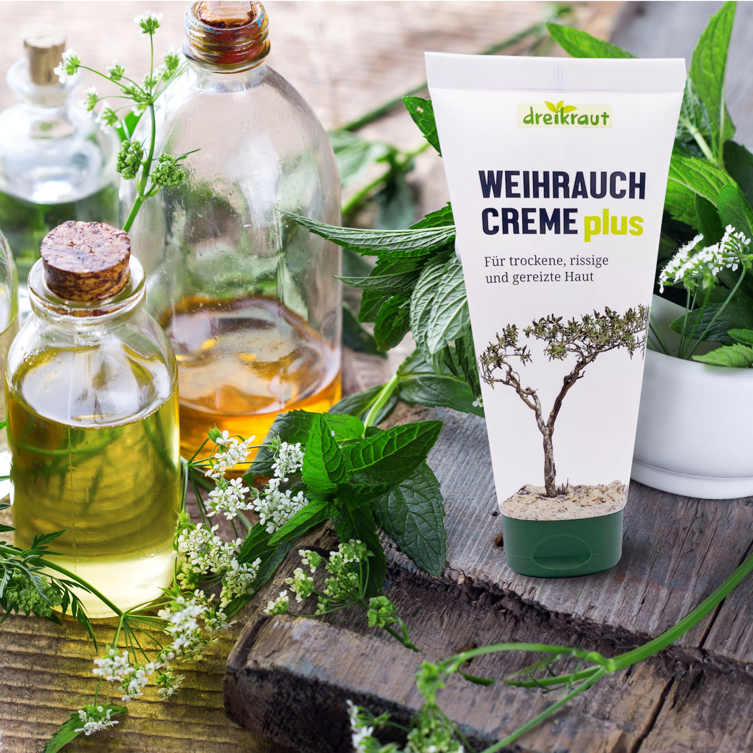dreikraut®  Weihrauch-Creme plus