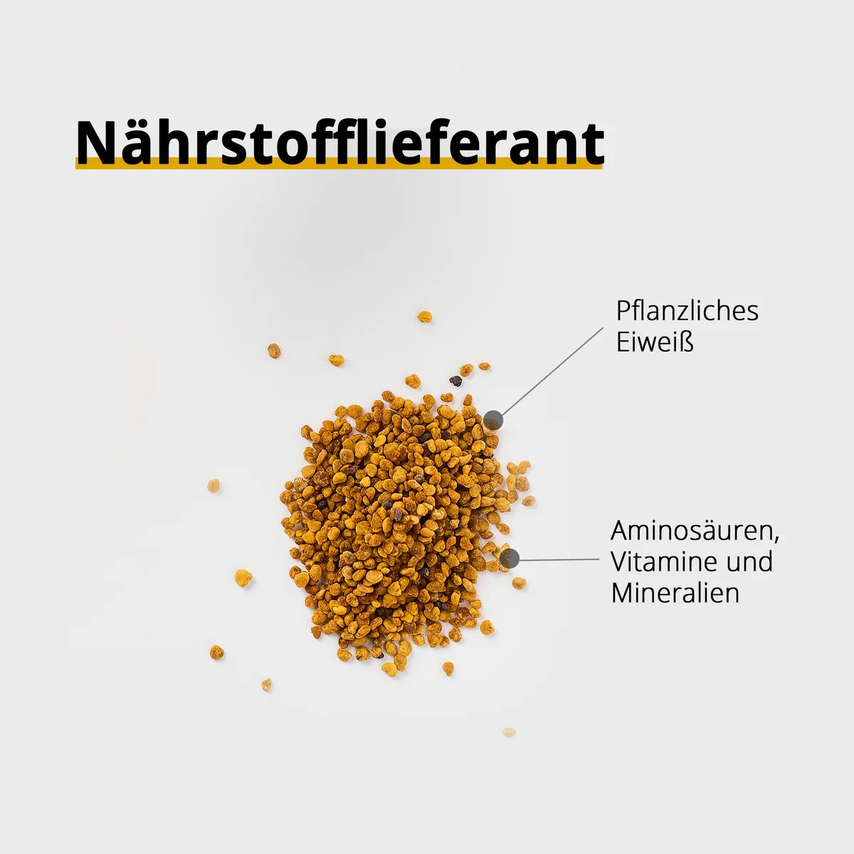 Haufen Blütenpollen auf weißem Grund. Beschriftung: Nährstofflieferant, Pflanzliches Eiweiß, Aminosäuren, Vitamine und Mineralien.