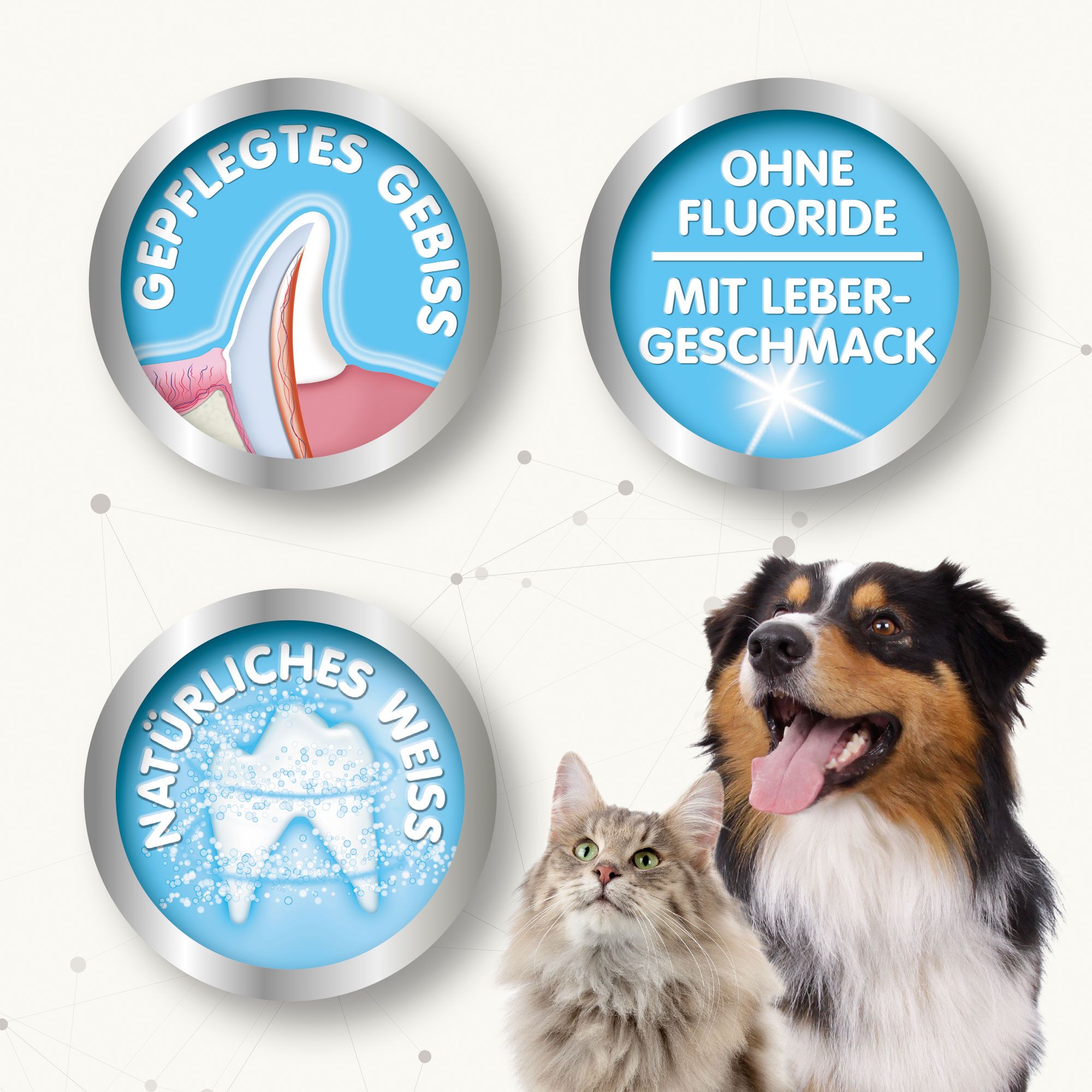 Drei runde Logos mit Text und Bildern. Ein Logo zeigt ein gesundes Gebiss, ein anderes ohne Fluorid, das dritte Natürliches Weiß. Ein Hund und eine Katze.