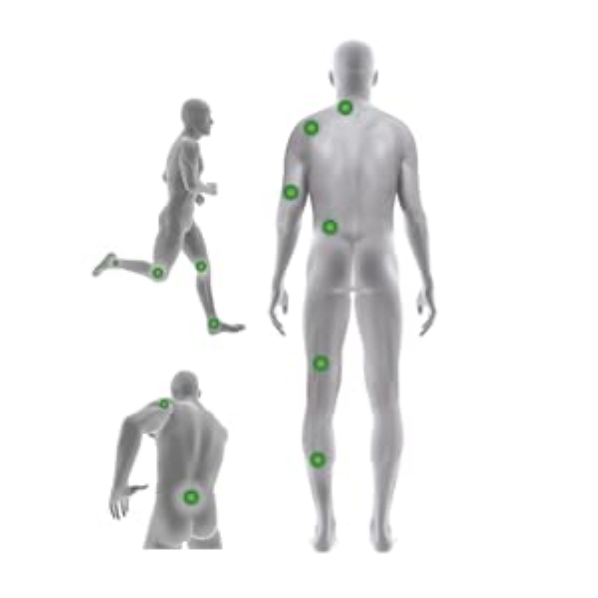 Anatomische Darstellung von Körperzonen für Ultraschall-Therapie.