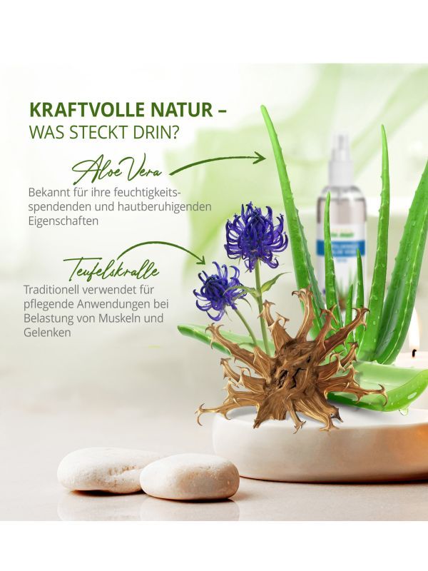 Sprühflasche mit Produktetikett, neben Aloe Vera und Teufelskralle. Produktname und Logo sichtbar. Auf hellem Hintergrund.