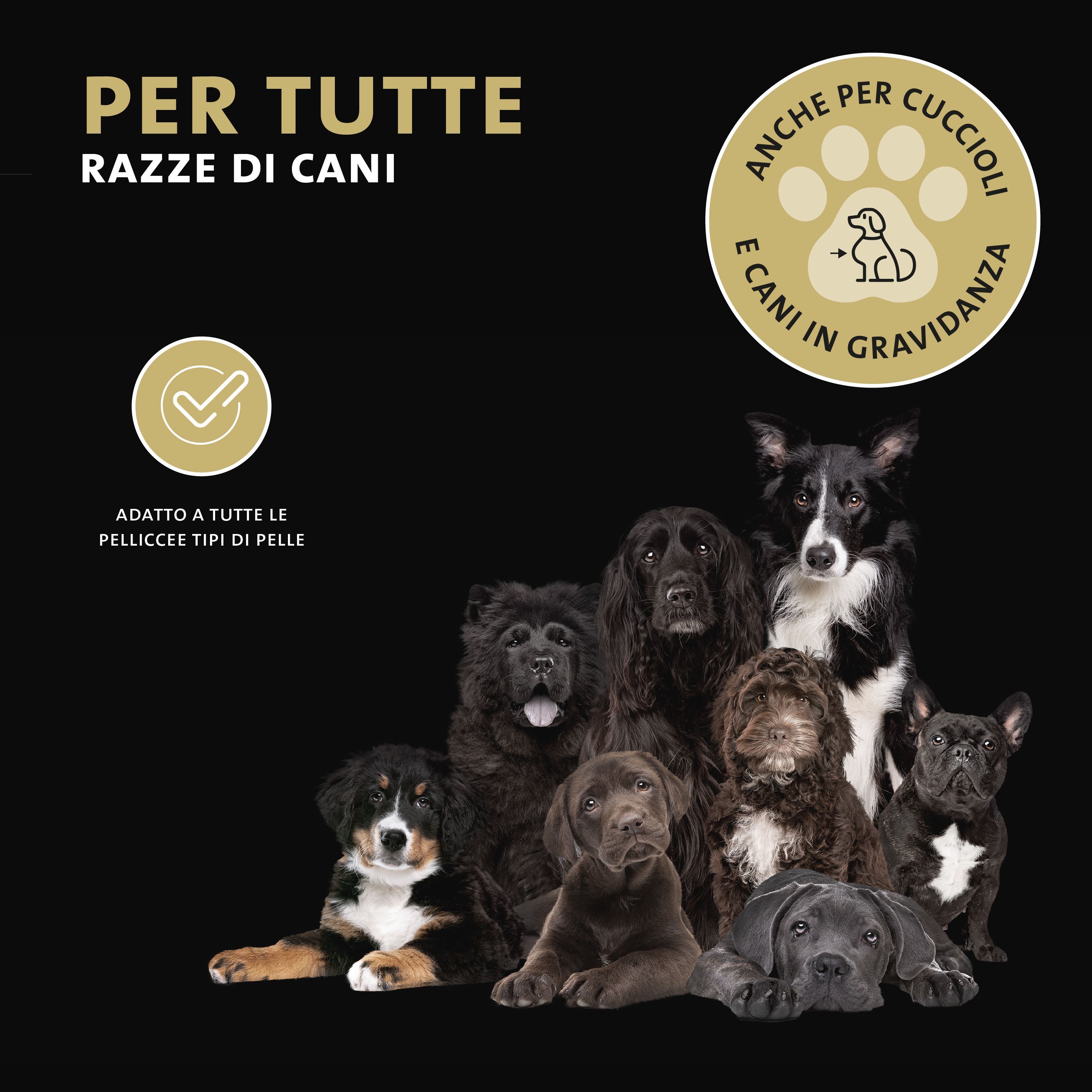 Verschiedene Hunderassen auf schwarzem Hintergrund. Text: Für alle Hunderassen.