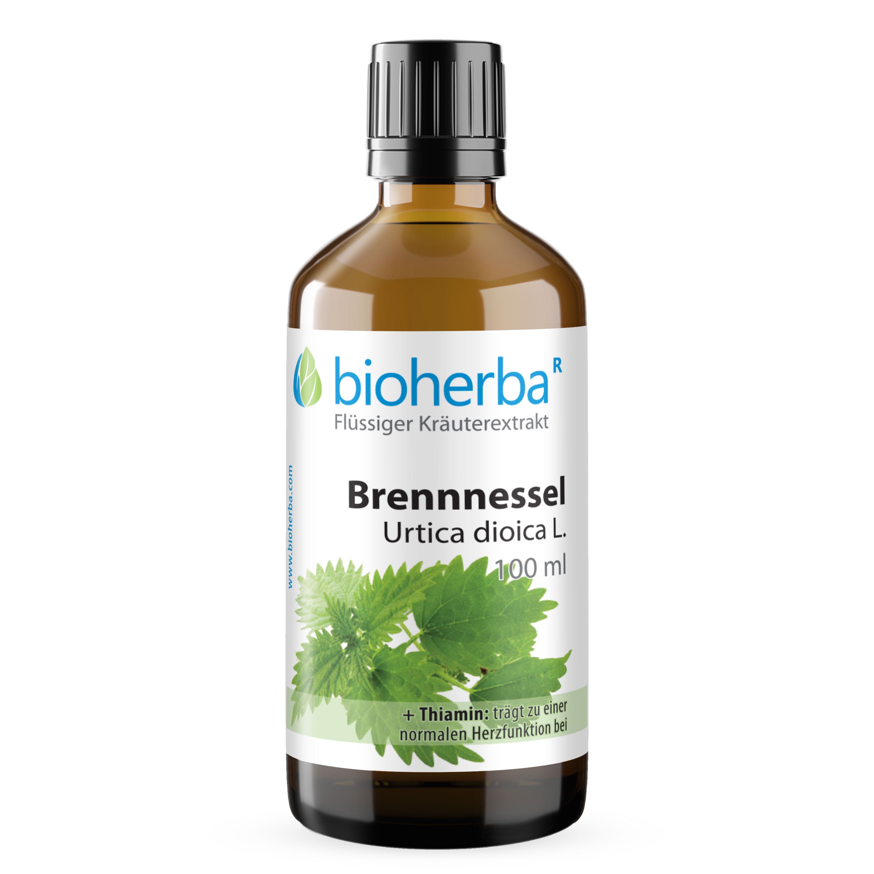 Braune Glasflasche mit schwarzem Deckel. Bioherba Brennnessel Urtica dioica L. Tropfen Tinktur. 100 ml.
