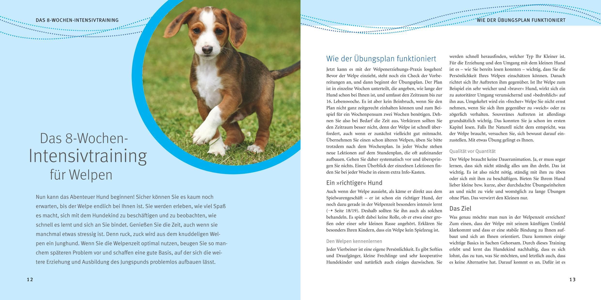 Buchseiten mit Text über 8-Wochen-Intensivtraining für Welpen. Illustration eines Welpen. Text über Trainingsmethoden.