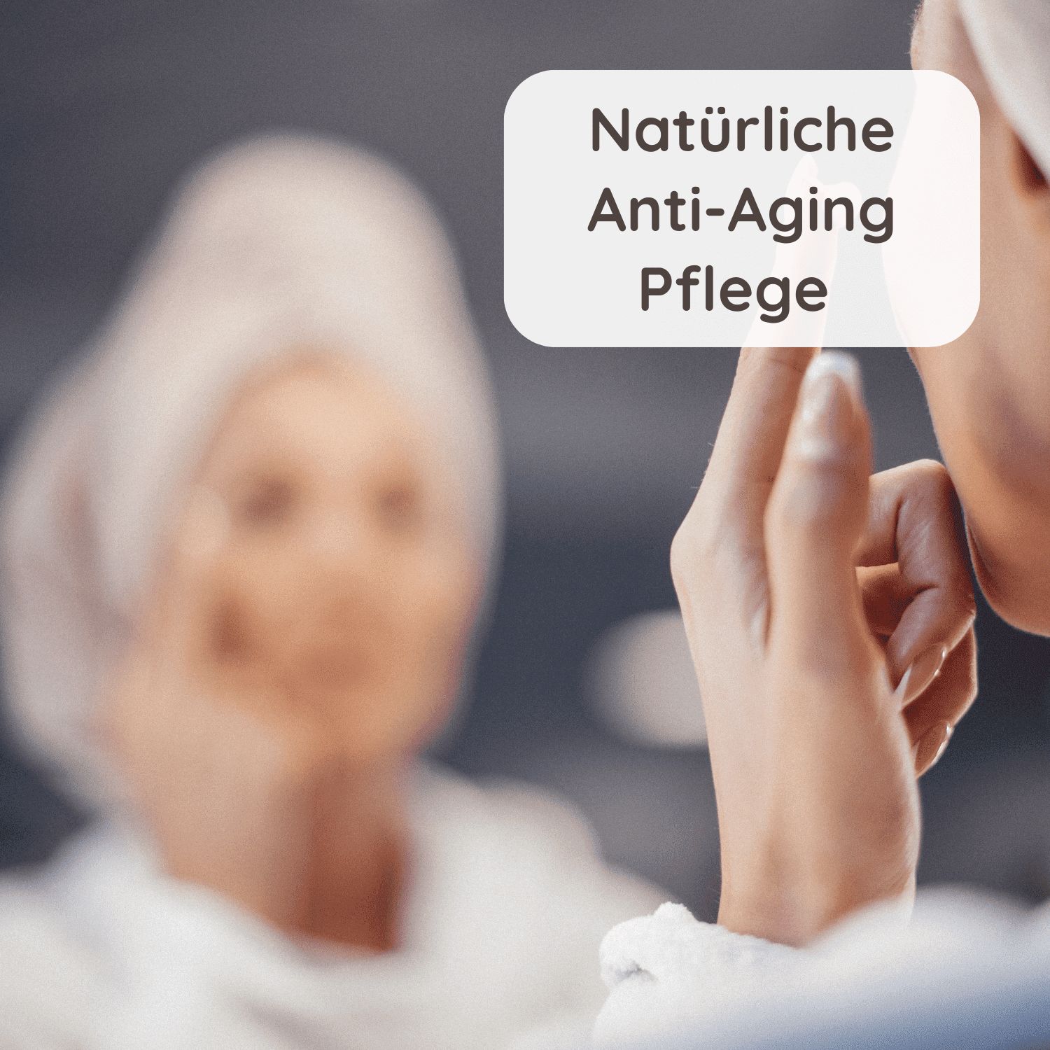 Schlosskräuter Nachtkuss Gesichtscreme Nachtcreme