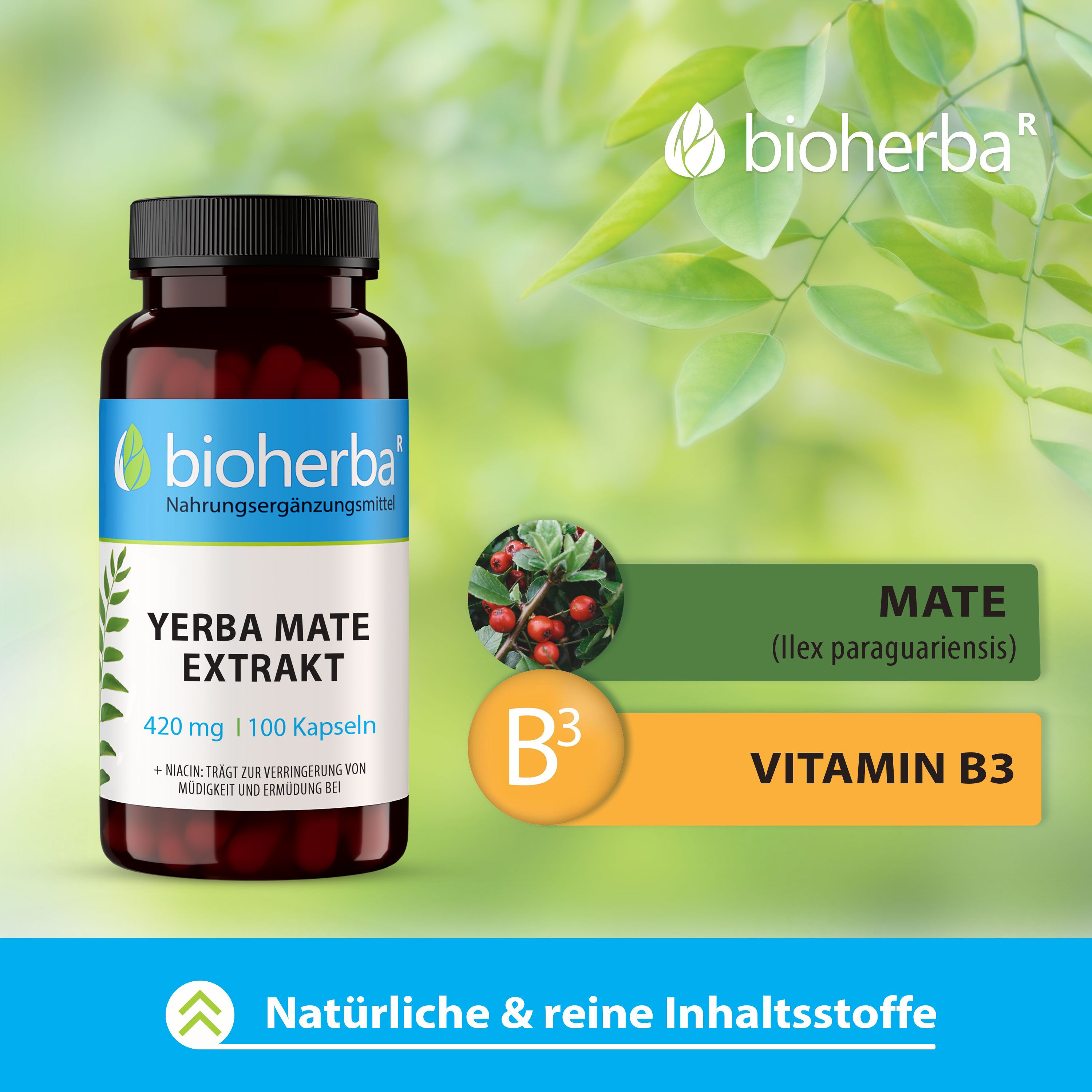 Bioherba Yerba Mate Extrakt Kapseln
