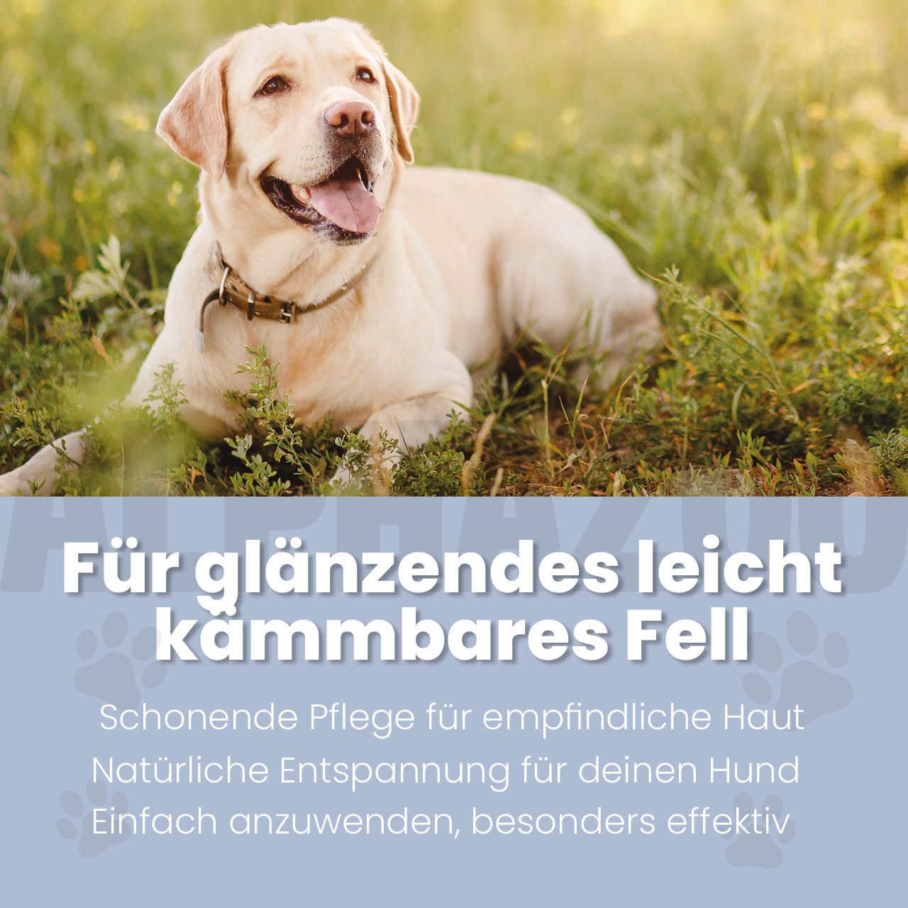 alphazoo Sensibelchen Fellspray für Hunde – Aloe Vera und Jojobaöl