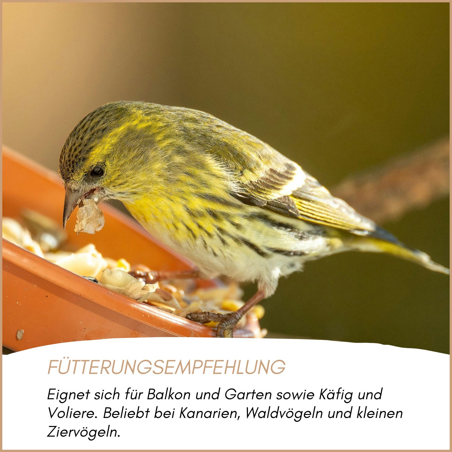 Supravit Kanarien & Waldvogelfutter ohne Rübsen