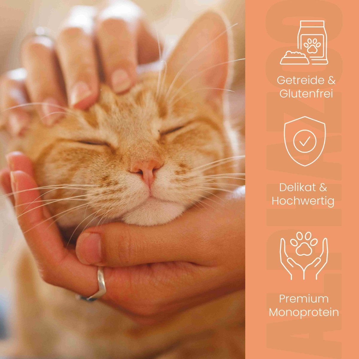 alphazoo Monoprotein Huhn Nassfutter für Katze