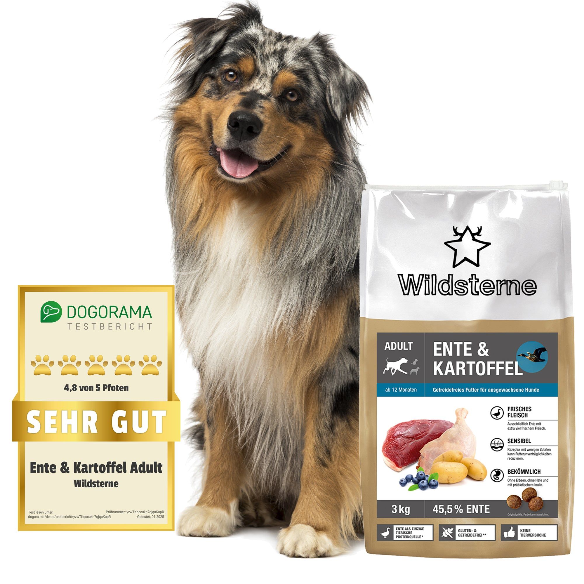 Wildsterne Adult Ente & Kartoffel Hundefutter neben einem Australian Shepherd und Testbericht.