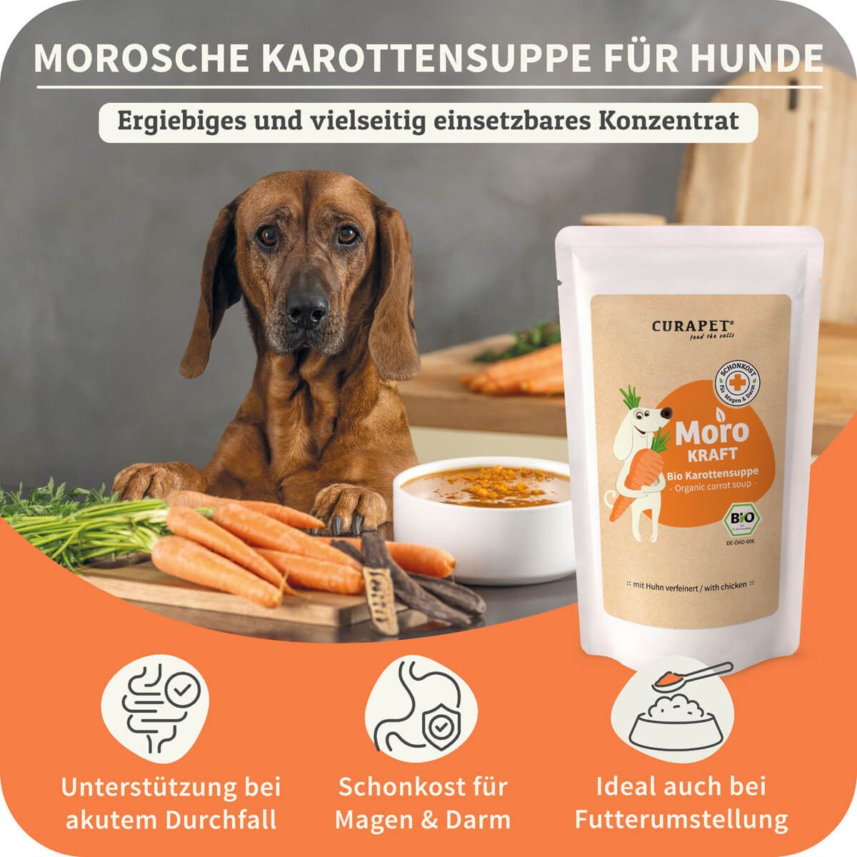 Hund vor Karotten und Schale mit Suppe. Verpackung: Beutel mit Produktlogo und Text. Text: Bio Karottensuppe. Unterstützt bei akutem Durchfall.
