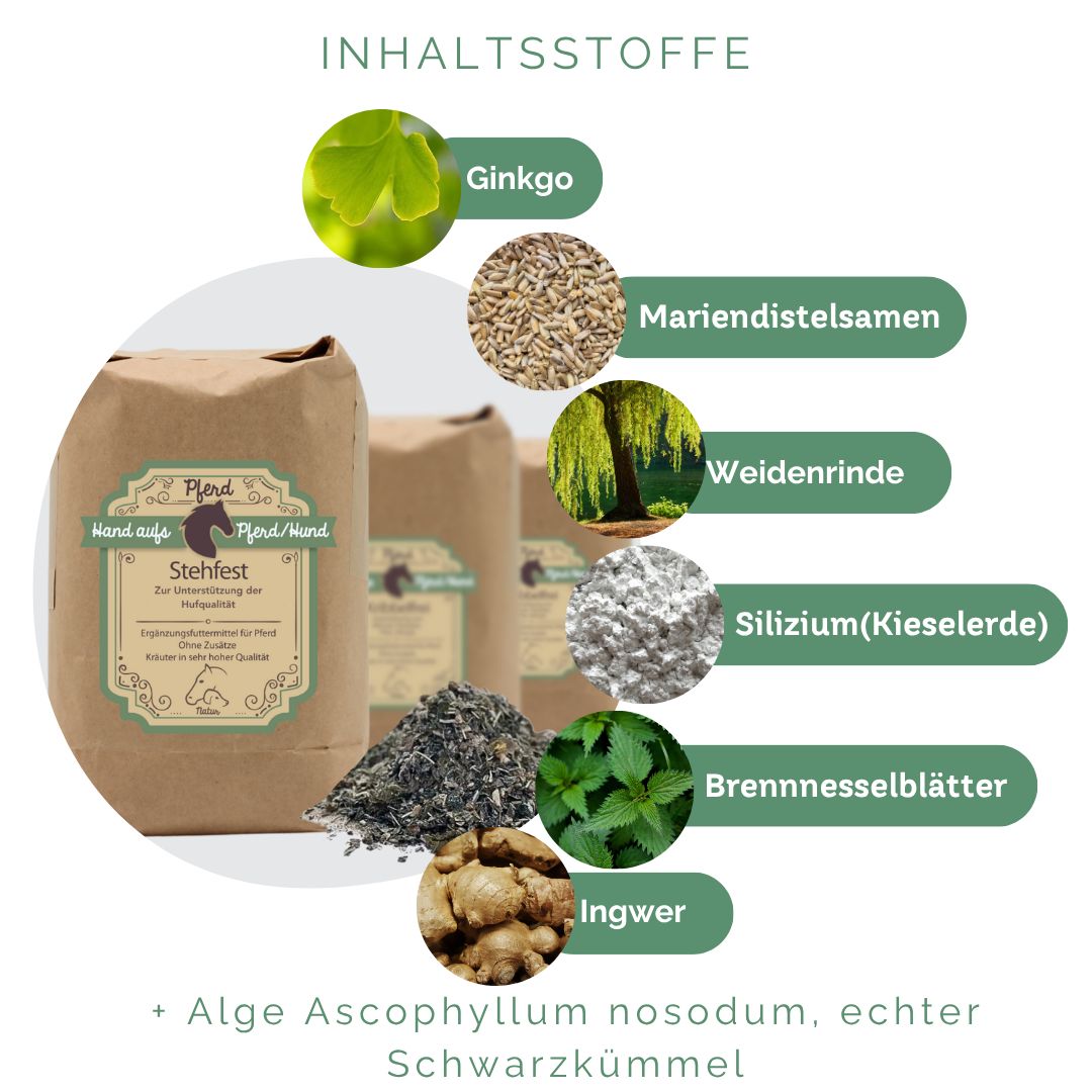 Braune Papiertüte mit Kräutern. Text: Hand aufs Pferd/Hund, Stehfest. Etikett mit Inhaltsstoffen: Ginkgo, Mariendistelsamen, Weidenrinde, etc.