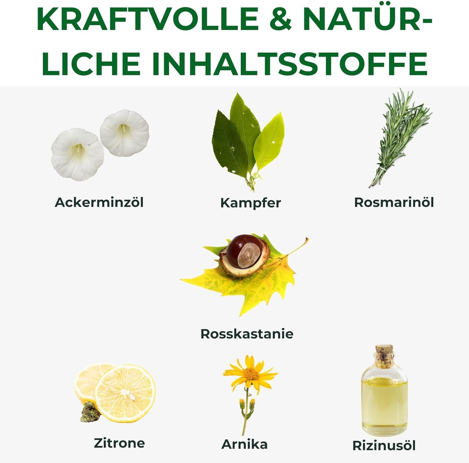 Verschiedene Kräuter und Pflanzen: Ackerminze, Kampfer, Rosmarin, Rosskastanie, Zitrone, Arnika, Rizinusöl.