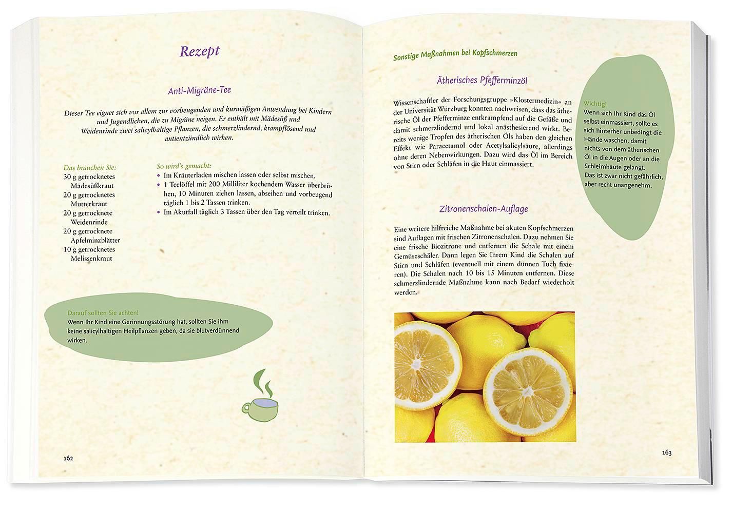 Buchseite mit Text und Illustrationen. Rezepte und Text. Illustration von Thymian. Offenes Buch.